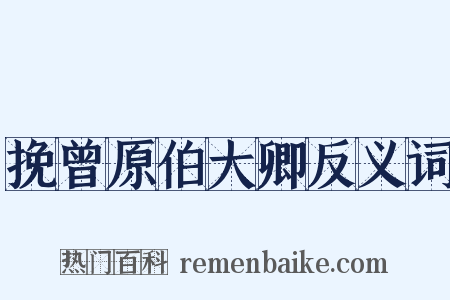 挽曾原伯大卿反义词是什么意思的图片